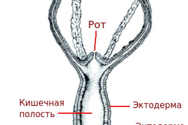 Kra38.cc