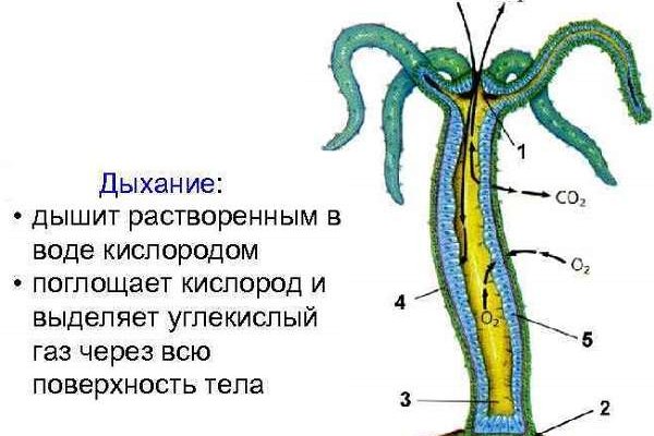 Украли аккаунт на кракене